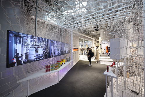 进博直击⑥ 百年字号与年度新品闪耀上海馆，共谱网络文化新篇章