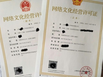 上海网络文化经营许可证办理全攻略 条件、流程与注意事项